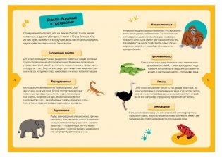 Животные планеты. Интерактивная детская энциклопедия с магнитами фото книги 4