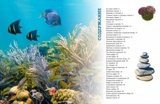 Загадки морей и океанов фото книги 2