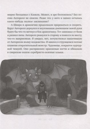 Секрет для дракона фото книги 7