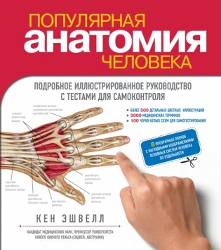 Популярная анатомия человека. Подробное иллюстрированное руководство с тестами для самоконтроля фото книги