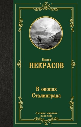В окопах Сталинграда фото книги
