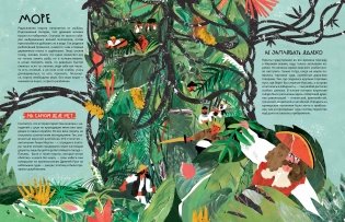 Вся правда о пиратах фото книги 2