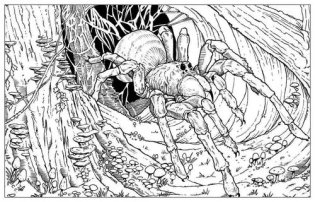 Harry Potter Magical Creatures Colouring Book фото книги 4