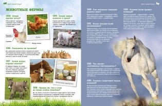 Мир животных: от актинии до ягуара фото книги 7