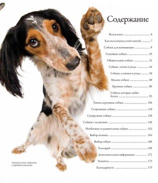 Все породы собак фото книги 2