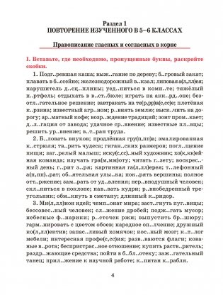 Русский язык. Тренажер по орфографии и пунктуации. 7 класс фото книги 4