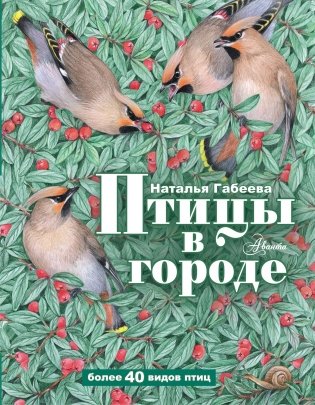 Птицы в городе фото книги
