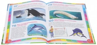 Первая детская энциклопедия в вопросах и ответах фото книги 2