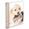 Фотоальбом "Puppies and kittens" (30 листов) фото книги маленькое 2