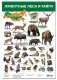 Плакат "Животные леса и тайги" фото книги маленькое 2
