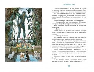 Серебряный герб фото книги 6