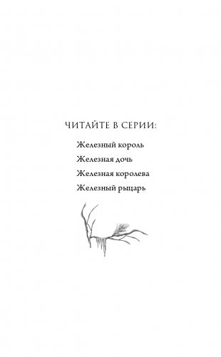 Железный рыцарь (#4) фото книги 3