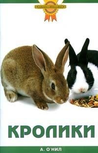 Кролики фото книги