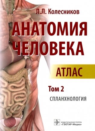 Анатомия человека: атлас: В 3 т. Т. 2. Спланхнология фото книги