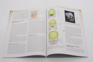 Concise clinical embryology: an integrated, case-based approach фото книги 4