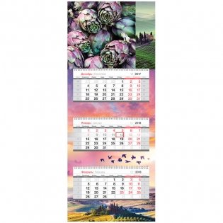 Календарь квартальный "Mini premium. Совершенство природы", с бегунком, на 2018 год фото книги