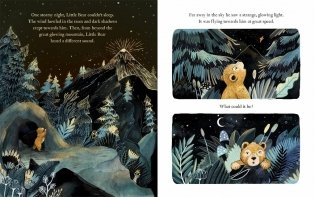 Magic Feather фото книги 4