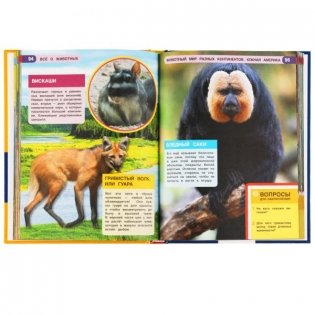 Энциклопедия "Всё о животных" фото книги 3
