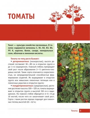 Все о томатах и огурцах от Октябрины Ганичкиной фото книги 5