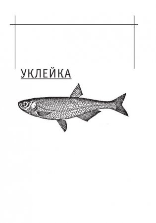 Иллюстрированный справочник рыболова фото книги 7