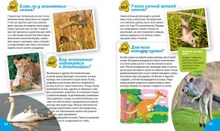 Как? Почему? Зачем? Новая книга вопросов и ответов фото книги 5