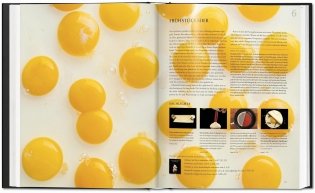 Modernist Cuisine at Home Spanish Edition фото книги 5