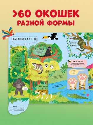 Большая книга с окошками. Животные фото книги 9