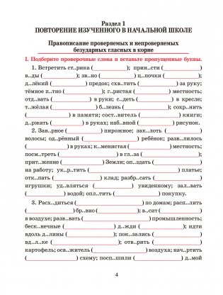 Русский язык. Тренажёр по орфографии и пунктуации. 5 класс фото книги 5