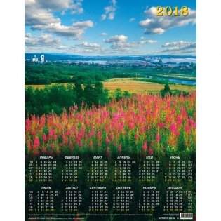 Календарь настенный на 2018 год "Лето", 450х580 мм фото книги
