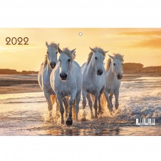 Квартальный календарь на 2022 год "Дикие животные. 4", 305х680 мм фото книги