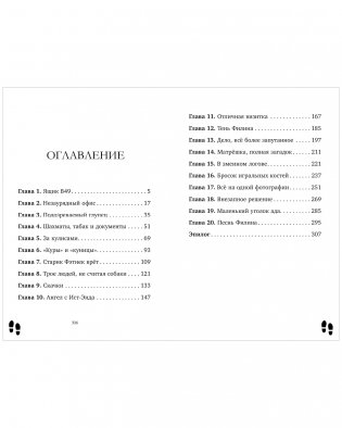 Леди-детектив Мод Уэст. Загадочное дело лорда Крейгбери фото книги 6