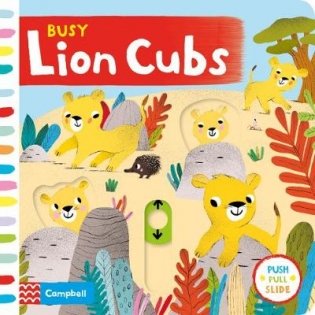 Lion Cubs фото книги