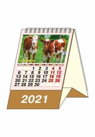 Календарь-домик "Символ года 1" на 2021 год фото книги 2