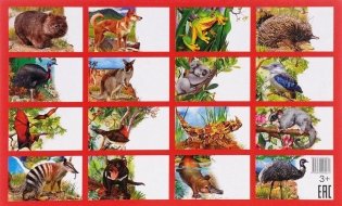 Обучающие карточки Животные Австралии фото книги 2