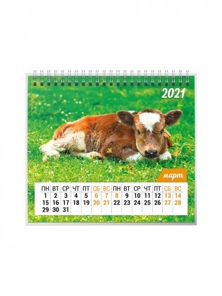 Календарь-домик на 2021 год "Символ года 1" (евро) фото книги 4