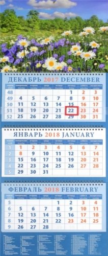 Календарь квартальный на 2018 год "Пейзаж с ромашками" фото книги