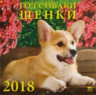 Календарь настенный на 2018 год "Год собаки. Щенки" фото книги