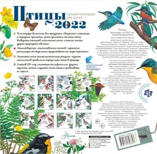 Птицы. Календарь для детей на 2022 год фото книги 2