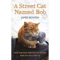 A Street Cat Named Bob фото книги