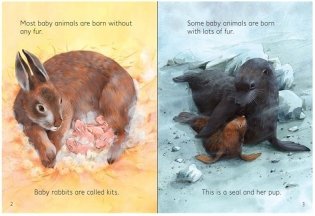 Baby Animals фото книги 2
