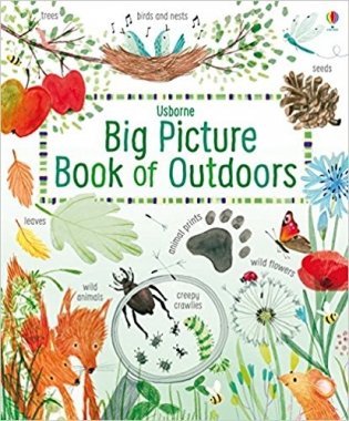 Big Picture Book of Outdoors фото книги