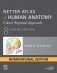 Netter Atlas Of Human Anatomy: Classic Regional Approach, International Edition 8 фото книги маленькое 2