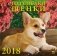 Календарь настенный на 2018 год "Год собаки. Щенки" фото книги маленькое 2