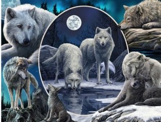 Пазл Super 3D "Коллаж. Волки", 500 деталей фото книги