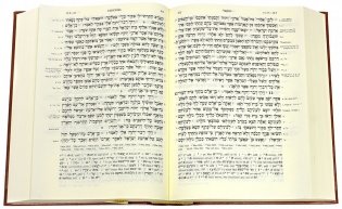Biblia Herbaica Stuttgartensia фото книги 2