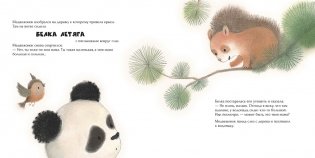 Малыш-панда потерялся фото книги 4