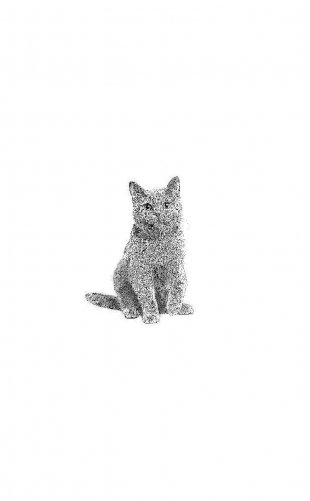 Алфи — невероятный кот фото книги 2