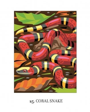 Mystery Coloring Wild Animals фото книги 9
