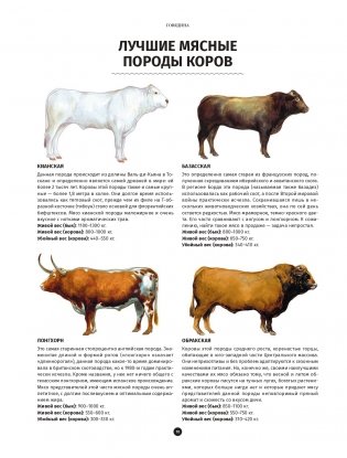 Мясо. Полное иллюстрированное руководство фото книги 7