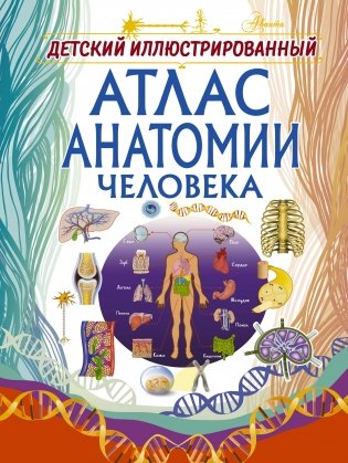 Детский иллюстрированный атлас анатомии человека фото книги